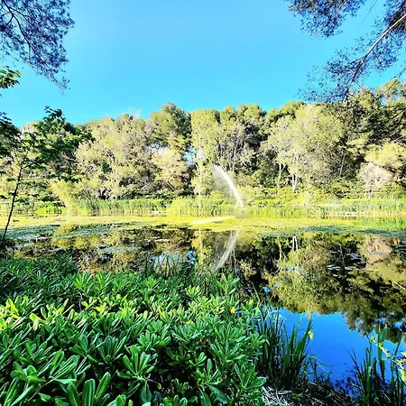 T2 Domaine De La Coudouliere